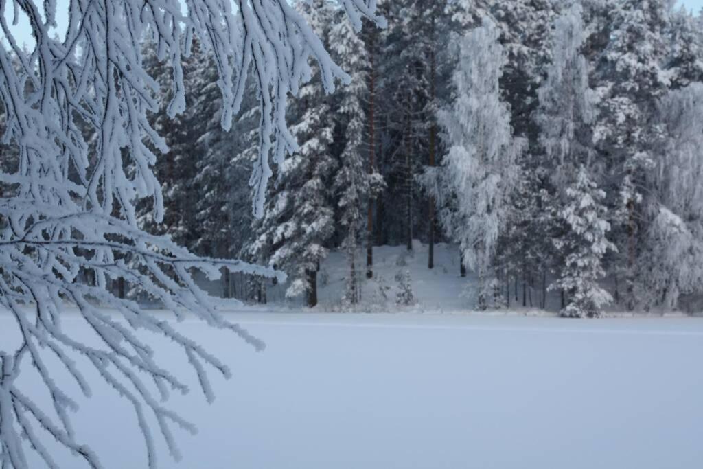 Cozy Holiday Home In Savonranta Savonlinna Buitenkant foto